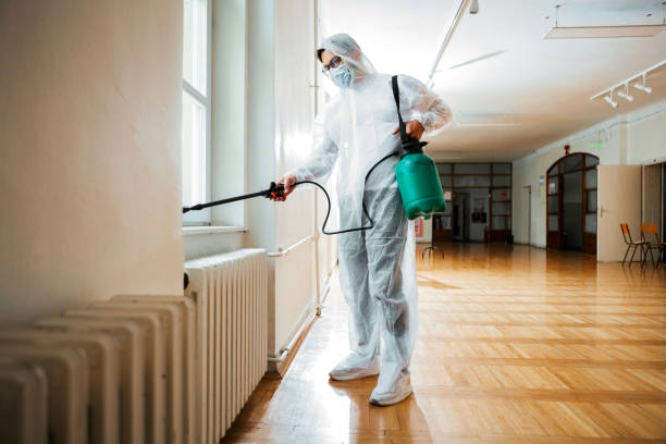 Professional Pest control in South Valley, NM